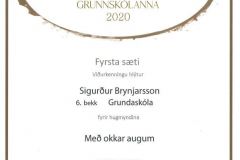 Vidurkenning-sigurvegari