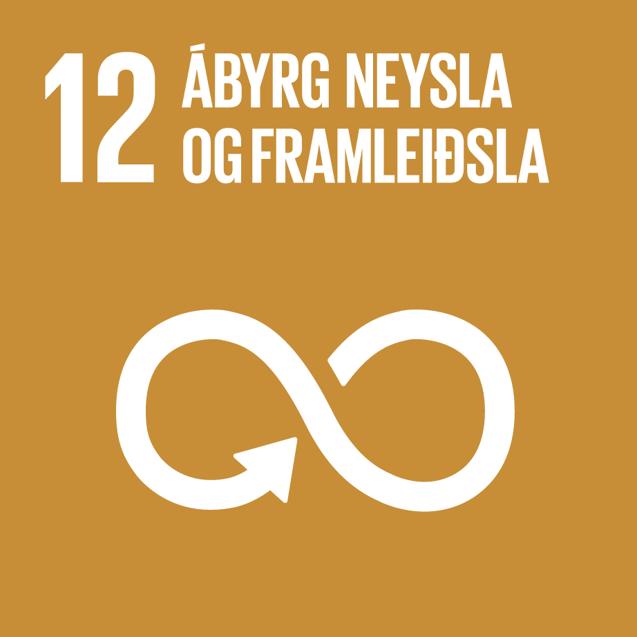 Heimsmarkmið 12: Ábyrg neysla og framleiðsla
